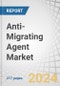 Anti-Migrating Agent Market by Type (Non-ionic, Anionic, Cationic, Amphoteric), Grades (Technical, Food, Pharmaceutical), Application, Chemistry (Organic, Inorganic), End-Use Industry (Textile, Plastics, Paper), and Region - Forecast to 2029 - Product Image