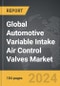 Automotive Variable Intake Air Control Valves - Global Strategic Business Report - Product Thumbnail Image