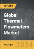 Thermal Flowmeters - Global Strategic Business Report- Product Image