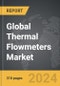 Thermal Flowmeters - Global Strategic Business Report - Product Image