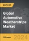 Automotive Weatherstrips - Global Strategic Business Report - Product Thumbnail Image