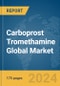 Carboprost Tromethamine Global Market Report 2024 - Product Thumbnail Image