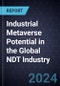 Industrial Metaverse Potential in the Global NDT Industry - Product Image