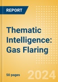 Thematic Intelligence: Gas Flaring- Product Image