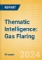 Thematic Intelligence: Gas Flaring - Product Image