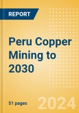 Peru Copper Mining to 2030 (2024 Update)- Product Image