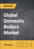 Domestic Boilers - Global Strategic Business Report- Product Image