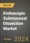 Endoscopic Submucosal Dissection Market Innovations and Strategic Insights Report - Market Data, Trends, Market Potential, Competitive Analysis and Growth Forecasts (2024 to 2032) - Product Image