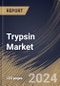 Trypsin Market Size, Share & Trends Analysis Report By Source (Bovine, Porcine and Others), By Application, By End-Use (Industrial use, Research and Diagnostics), By Regional Outlook and Forecast, 2024 - 2031 - Product Image