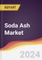 Soda Ash Market Report: Trends, Forecast and Competitive Analysis to 2030 - Product Image