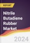 Nitrile Butadiene Rubber Market Report: Trends, Forecast and Competitive Analysis to 2030 - Product Thumbnail Image