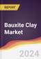 Bauxite Clay Market Report: Trends, Forecast and Competitive Analysis to 2030 - Product Thumbnail Image