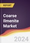 Coarse Ilmenite Market Report: Trends, Forecast and Competitive Analysis to 2030 - Product Image