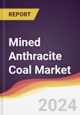 Mined Anthracite Coal Market Report: Trends, Forecast and Competitive Analysis to 2030- Product Image