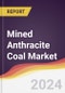 Mined Anthracite Coal Market Report: Trends, Forecast and Competitive Analysis to 2030 - Product Thumbnail Image