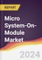 Micro System-On-Module (SOM) Market Report: Trends, Forecast and Competitive Analysis to 2030 - Product Thumbnail Image