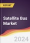 Satellite Bus Market Report: Trends, Forecast and Competitive Analysis to 2030 - Product Thumbnail Image