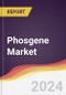 Phosgene Market Report: Trends, Forecast and Competitive Analysis to 2030 - Product Thumbnail Image