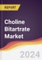 Choline Bitartrate Market Report: Trends, Forecast and Competitive Analysis to 2030 - Product Image