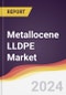 Metallocene LLDPE Market Report: Trends, Forecast and Competitive Analysis to 2030 - Product Thumbnail Image