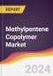 Methylpentene Copolymer Market Report: Trends, Forecast and Competitive Analysis to 2030 - Product Image