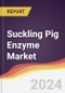 Suckling Pig Enzyme Market Report: Trends, Forecast and Competitive Analysis to 2030 - Product Image