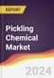 Pickling Chemical Market Report: Trends, Forecast and Competitive Analysis to 2030 - Product Image