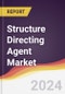 Structure Directing Agent Market Report: Trends, Forecast and Competitive Analysis to 2030 - Product Image