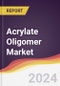 Acrylate Oligomer Market Report: Trends, Forecast and Competitive Analysis to 2030 - Product Thumbnail Image