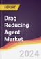 Drag Reducing Agent Market Report: Trends, Forecast and Competitive Analysis to 2030 - Product Image