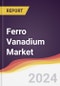 Ferro Vanadium Market Report: Trends, Forecast and Competitive Analysis to 2030 - Product Thumbnail Image