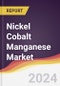 Nickel Cobalt Manganese Market Report: Trends, Forecast and Competitive Analysis to 2030 - Product Thumbnail Image