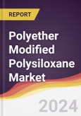 Polyether Modified Polysiloxane Market Report: Trends, Forecast and Competitive Analysis to 2030- Product Image