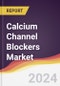 Calcium Channel Blockers Market Report: Trends, Forecast and Competitive Analysis to 2030 - Product Thumbnail Image