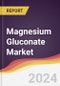 Magnesium Gluconate Market Report: Trends, Forecast and Competitive Analysis to 2030 - Product Thumbnail Image