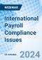 International Payroll Compliance Issues - Webinar (Recorded) - Product Image