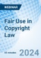 Fair Use in Copyright Law - Webinar - Product Image