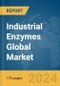 Industrial Enzymes Global Market Report 2024 - Product Image