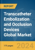 Transcatheter Embolization and Occlusion Devices Global Market Report 2024- Product Image