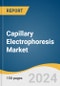 Capillary Electrophoresis Market Size, Share & Trends Analysis Report By Product (Instruments, Consumable, Software), By Mode, By Application, By End Use, By Region, And Segment Forecasts, 2025 - 2030 - Product Image