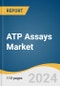 ATP Assays Market Size, Share & Trends Analysis Report By Type (Luminometric ATP Assays, Enzymatic ATP Assays), By Application (Drug Discovery & Development, Clinical Diagnostics, Environmental Testing), By End Use, By Region, And Segment Forecasts, 2024 - 2030 - Product Thumbnail Image