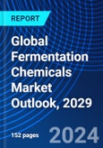 Global Fermentation Chemicals Market Outlook, 2029- Product Image