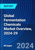 Global Fermentation Chemicals Market Overview, 2024-29- Product Image