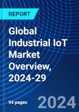 Global Industrial IoT Market Overview, 2024-29- Product Image