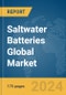 Saltwater Batteries Global Market Report 2024 - Product Thumbnail Image