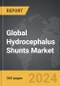 Hydrocephalus Shunts - Global Strategic Business Report - Product Image