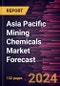 Asia Pacific Mining Chemicals Market Forecast to 2030 - Regional Analysis - by Type, Mineral Type, and Application - Product Image