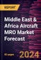 Middle East & Africa Aircraft MRO Market Forecast to 2030 - Regional Analysis - by Components, Aircraft Type, and End Users - Product Image