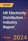 UK Electricity Distribution - Industry Report- Product Image