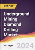 Underground Mining Diamond Drilling Market Report: Trends, Forecast and Competitive Analysis to 2030- Product Image